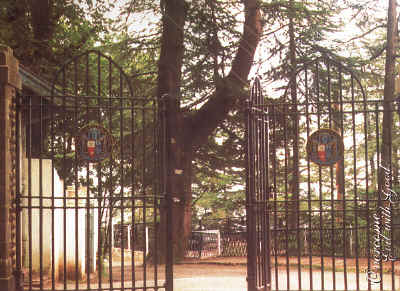 Overcome Evil With Good